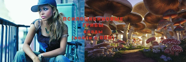 первитин Володарск